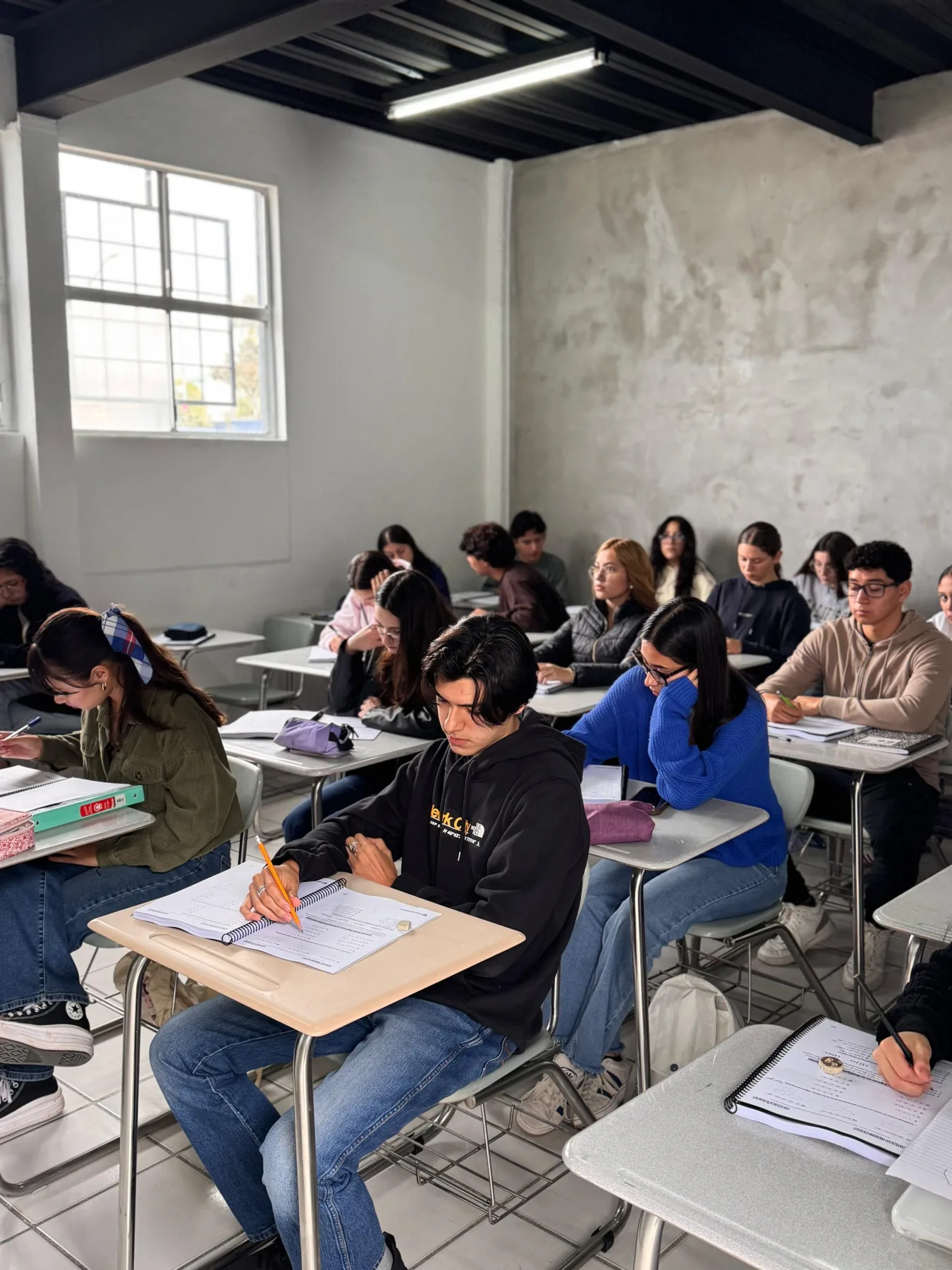 Grupo de estudiantes trabajando en sus manuales